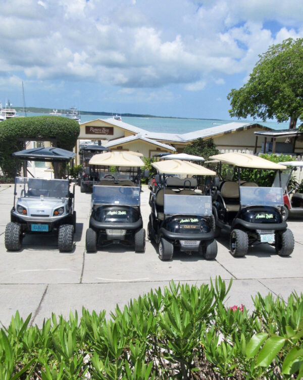 Aundre’s Rentals Harbour Island, Bahamas Golf Cart Rentals, Boat Excursions & Luxury Charters